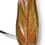 Thumbnail: Philodendron mexicanum