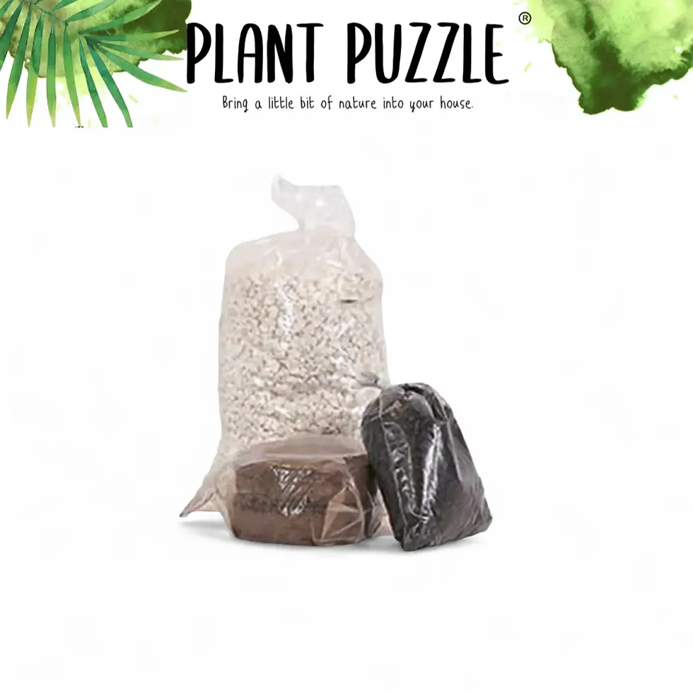 Mix for terrarium kits - gravel, soil, activated charcoal