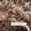 Miniaturbild: Orchid Potting Mix