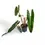 Miniaturbild: Philodendron billietiae