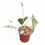 Thumbnail: Anthurium 'Delta Force'