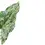 Thumbnail: Syngonium podophyllum 'Mottled'