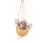 Thumbnail: Tradescantia Zebrina ‘Sweetness’ in Kokodama