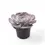 Thumbnail: Echeveria 'Pollux'