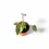 Miniaturbild: Philodendron billietiae x atabapoense