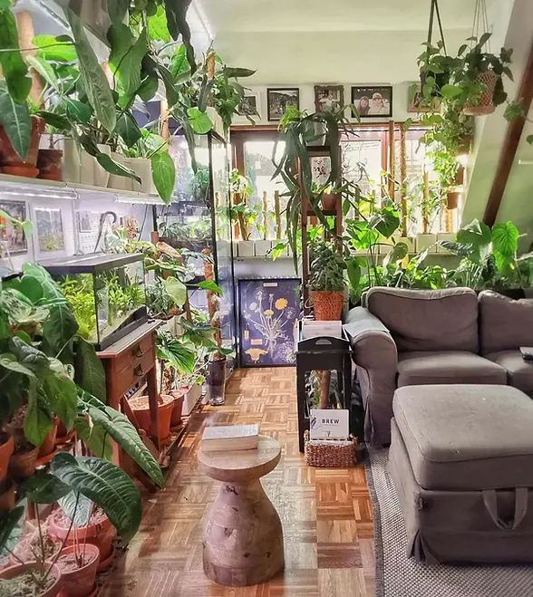 living-room-filled-with-houseplants-foliage-factory