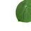 Thumbnail: Begonia peltata