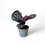 Thumbnail: Goeppertia (Calathea) roseopicta 'Dottie' ('Illustrious')