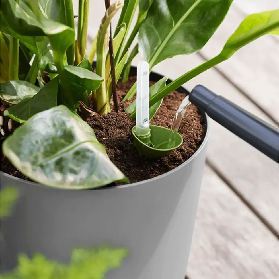 Watering can spout pouring water or fertilizer into a self-watering pot with visible water level meter