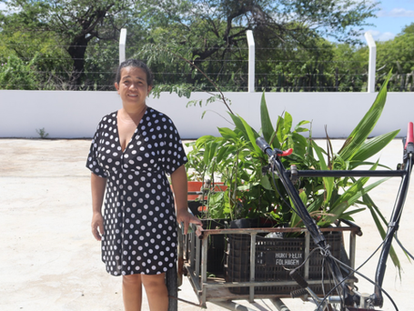 Projeto Vale Sustentável entrega quase mil mudas frutíferas para agricultores de Guamaré/RN