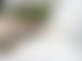 Ceres investiga elevação do nível do mar em cidades do interior do Estado