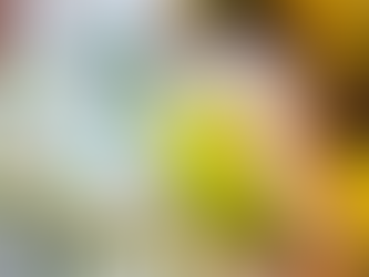 Medida provisória abre crédito extra para atender famÃlias atingidas por fenômenos climáticos