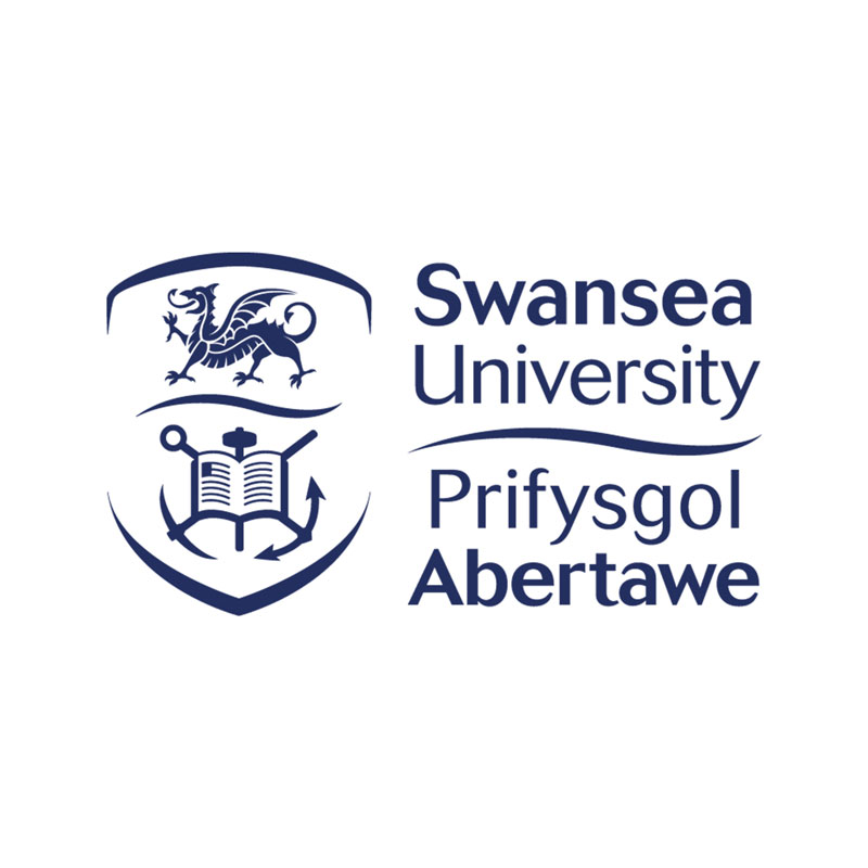 Swansea University