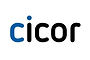 Cicor Group