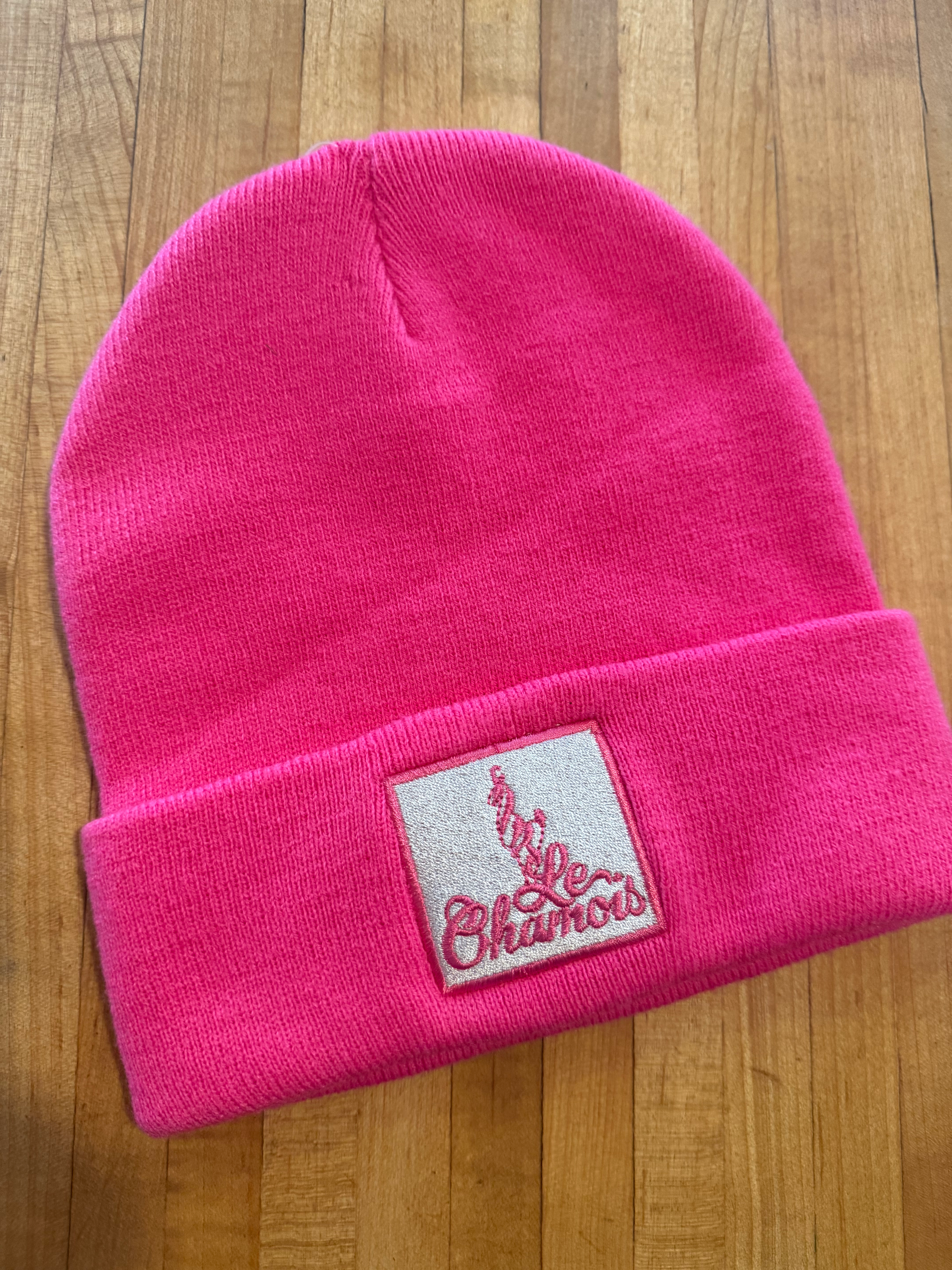 Chamois Patch Beanie - Bright Pink