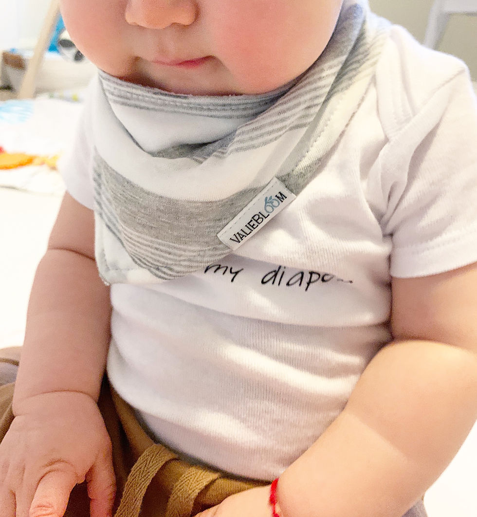 Thumbnail: Gray and White Striped Bandana Bib