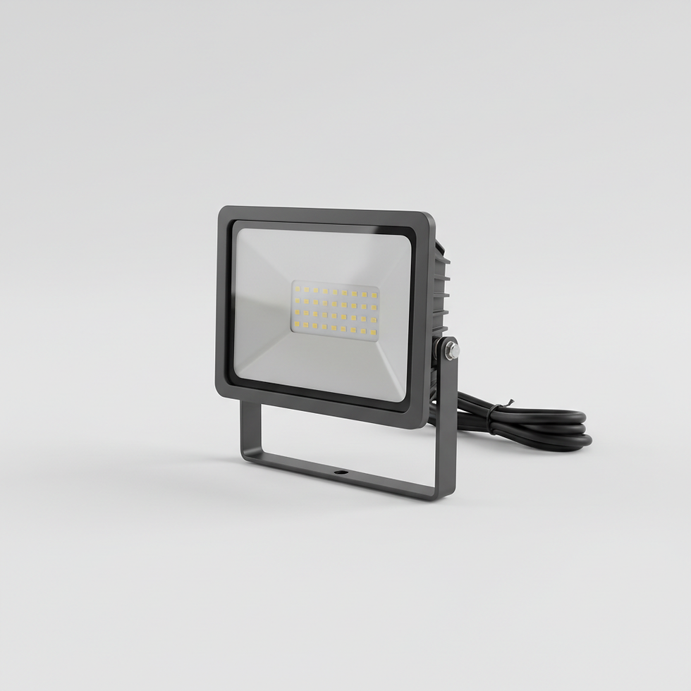 LED Flood Light