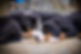 2U5A2696.jpg