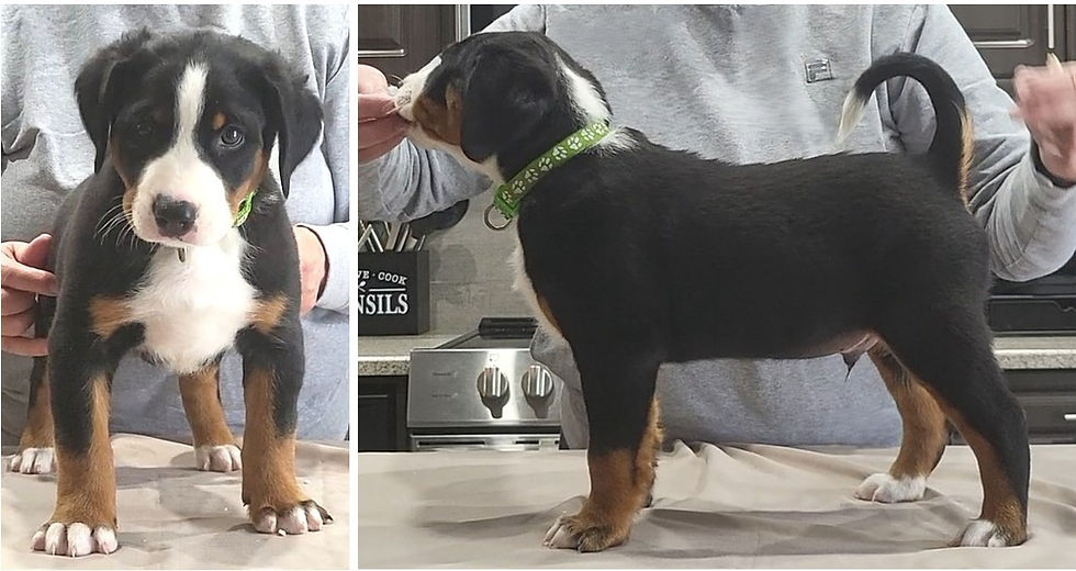 M1 Conformation Pose 2025-06-22