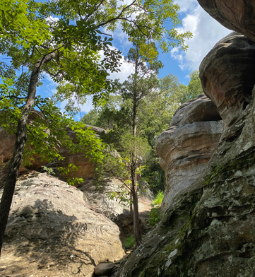 Garden of the God Illinois rock trees rock formations visit the outdoors.