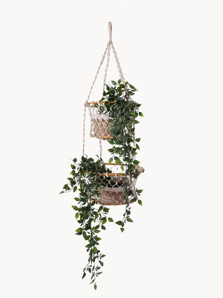 Jhuri Double Hanging Bask