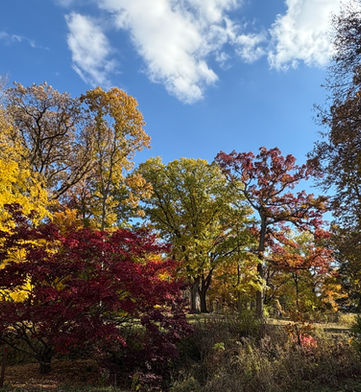 Colorful Leaves of Matthiessen State Park Illinois outdoor hiking adventure