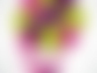 Masha Pabien Tooliamatie