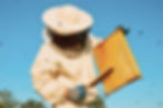 beekeeper_01.jpg