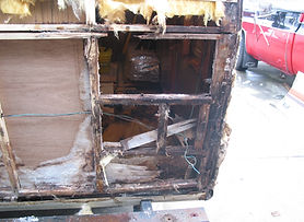 151-5144_IMG.JPG