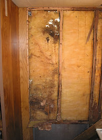 151-5125_IMG.JPG