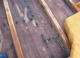 151-5107_IMG.JPG