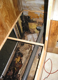 150-5086_IMG.JPG