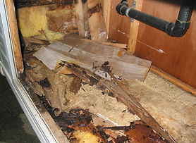 150-5080_IMG.JPG