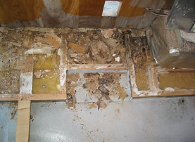 155-5531_IMG.JPG