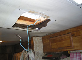 151-5117_IMG.JPG