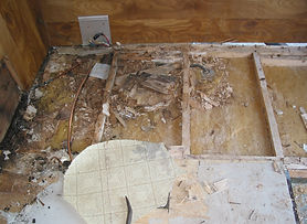 155-5533_IMG.JPG