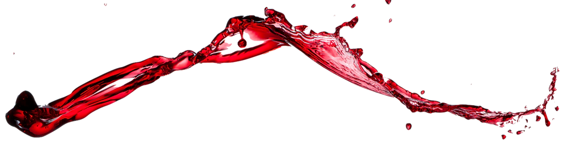 Copy%20of%20Untitled%20(59)_edited.png