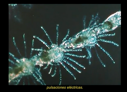 Captura de Pantalla 2021-12-23 a la(s) 18.58.18.png