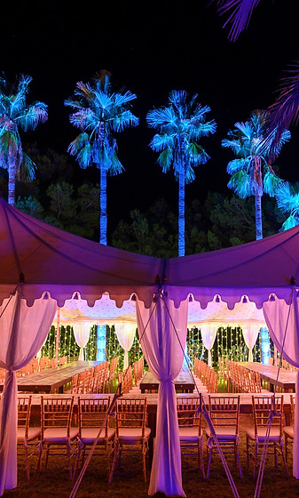 wedding_edited.jpg