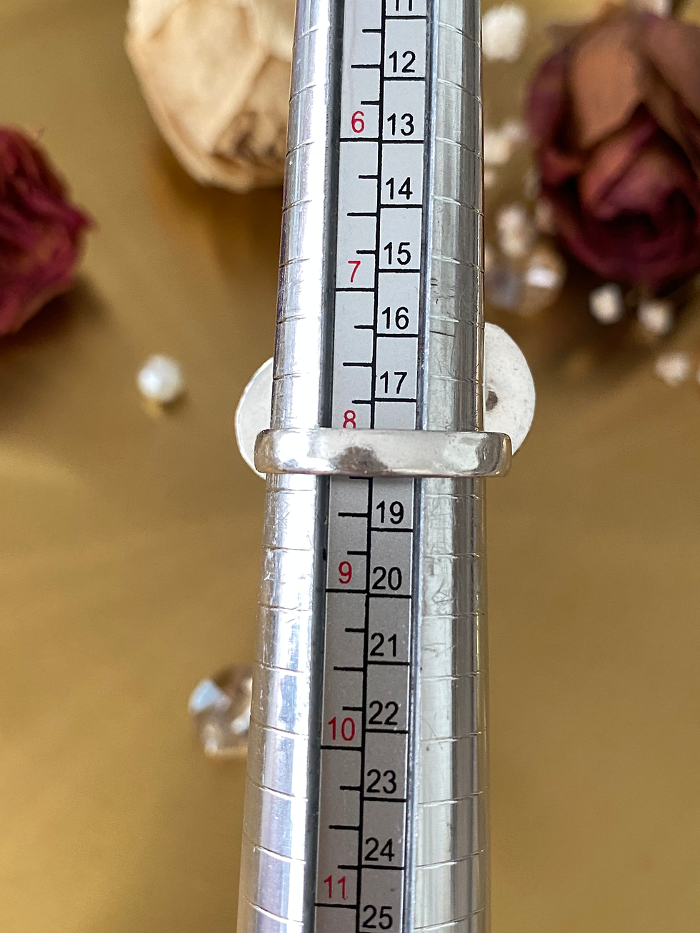 Thumbnail: Natural Raw Citrine, Shiva Eye Shell And Citine Ring Size 8