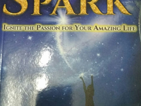 Book Review – The Hidden Spark by Vikas Trivedi and Smita Agarwal