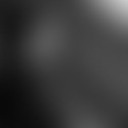 Silence - The Final Answer