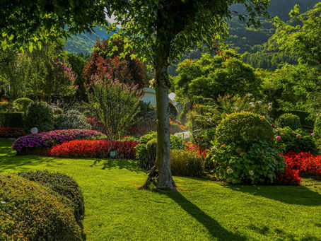 The Garden of Dreams