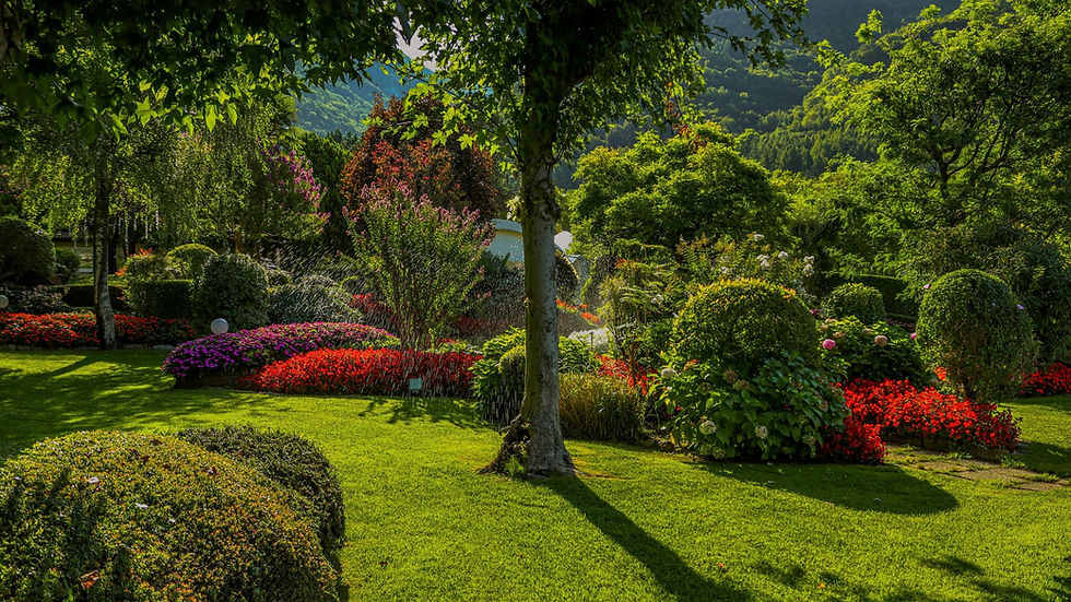 The Garden of Dreams