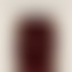 Book Review: Mystical Love by Akira Sravani