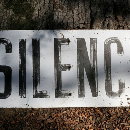 Silence That Stayed