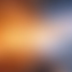 Where Love Transcends