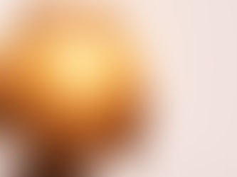 The Girl I left Behind