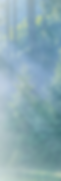 Lbackground.png