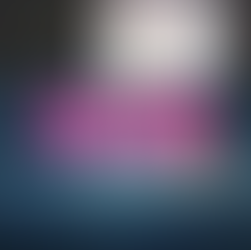 The Elephant in the Boardroom: Why Businesses Talk Operational Excellence But Rarely Master It